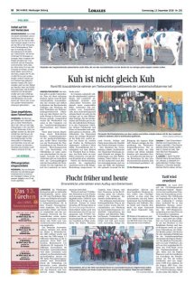 DIE HARKE Seite 12