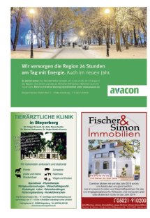 Jahresr&uuml;ckblick Seite 2