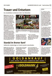 Jahresr&uuml;ckblick Seite 13