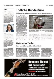 Jahresr&uuml;ckblick Seite 14