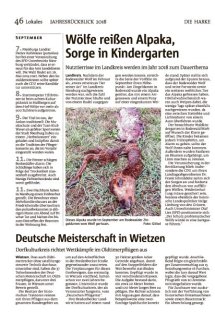 Jahresr&uuml;ckblick Seite 46