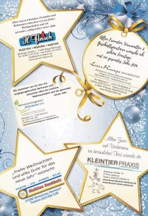 Weihnachtsbeilage Seite 9