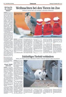 DIE HARKE am Sonntag Seite 12