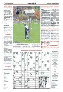 DIE HARKE am Sonntag Seite 18