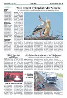 DIE HARKE Seite 19