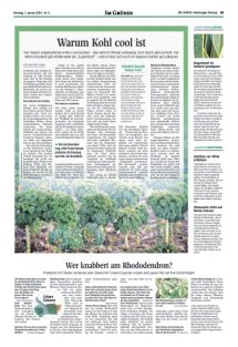 DIE HARKE Seite 25