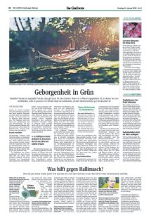 DIE HARKE Seite 24