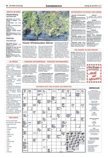 DIE HARKE am Sonntag Seite 20