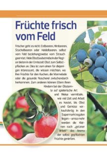 Draussen Seite 41
