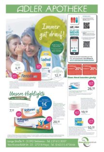 DIE HARKE am Sonntag Seite 24