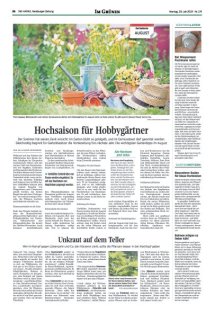 DIE HARKE Seite 26