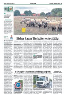 DIE HARKE Seite 17