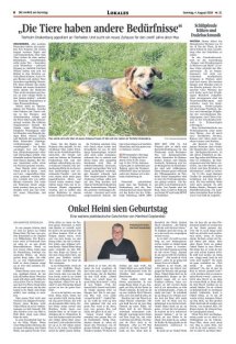 DIE HARKE am Sonntag Seite 8