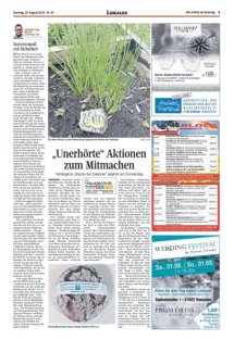 DIE HARKE am Sonntag Seite 3