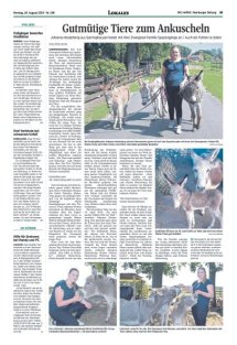 DIE HARKE Seite 19