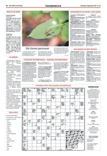 DIE HARKE am Sonntag Seite 18