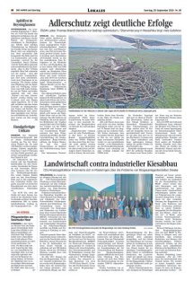 DIE HARKE am Sonntag Seite 10