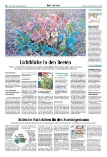 DIE HARKE Seite 26