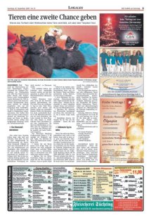 DIE HARKE am Sonntag Seite 5