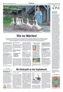 DIE HARKE Seite 24