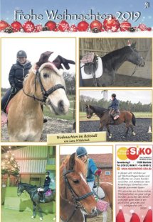 Weihnachtsbeilage Seite 51