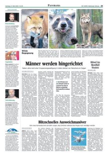DIE HARKE Seite 29