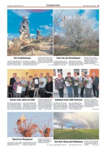 DIE HARKE am Sonntag Seite 11