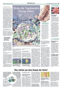 DIE HARKE Seite 23