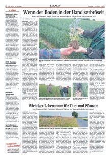 DIE HARKE am Sonntag Seite 8