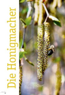 Land erleben Seite 32