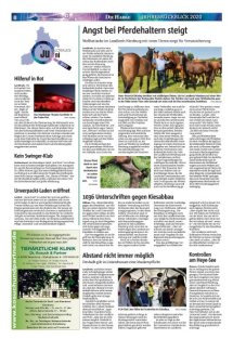 Jahresr&uuml;ckblick Seite 8