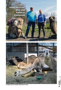 Land erleben Seite 23