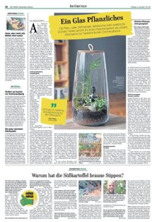 DIE HARKE Seite 26