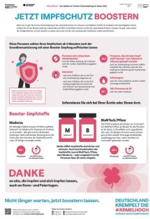 DIE HARKE am Sonntag Seite 7