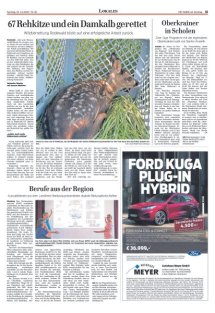 DIE HARKE am Sonntag Seite 11