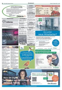 DIE HARKE Seite 24