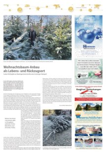 Weihnachtszeitung Seite 3