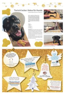 Weihnachtszeitung Seite 15