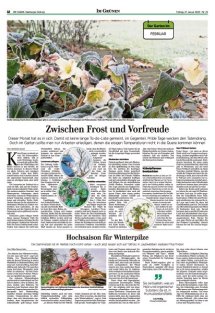 DIE HARKE Seite 12