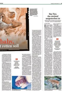 DIE HARKE Seite 47