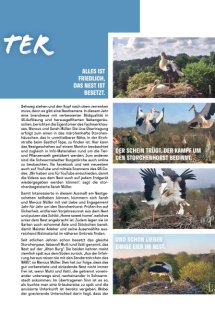 Land erleben Seite 17
