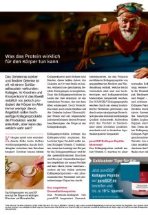 prisma Fernsehmagazin Seite 13