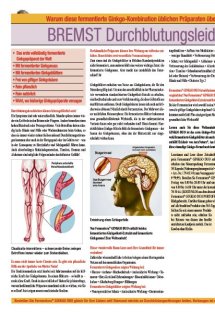 prisma Fernsehmagazin Seite 40