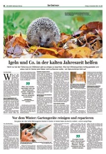 DIE HARKE Seite 12