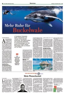 DIE HARKE Seite 37