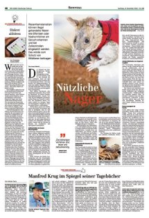 DIE HARKE Seite 39