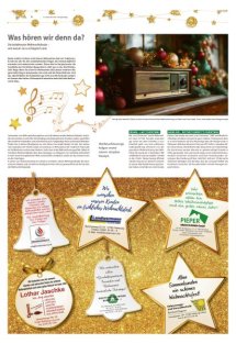 Weihnachtszeitung Seite 8