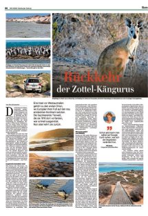 DIE HARKE Seite 44