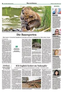 DIE HARKE Seite 24