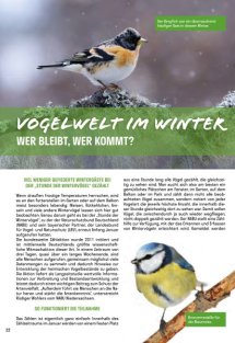 Land erleben Seite 22